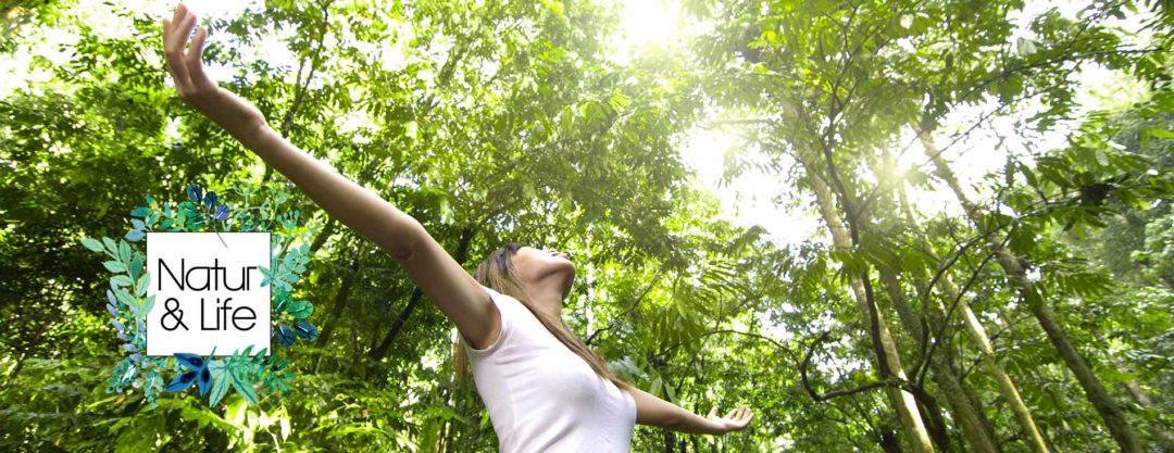 Naturopathie bien etre  bandeau Natur  Life